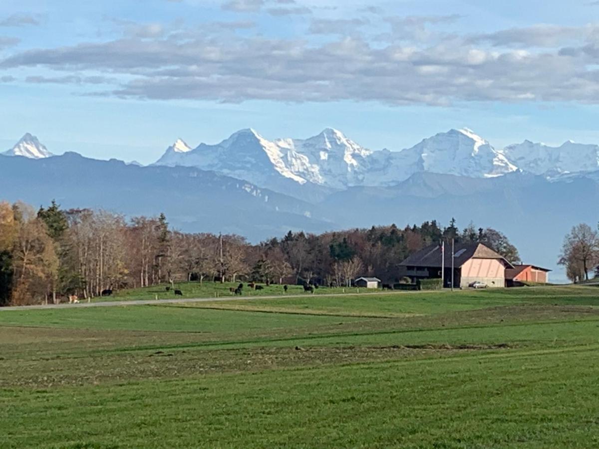 Mountain Home - Ein Aufenthalt Mit Weitblick Niedermuhlern Екстер'єр фото